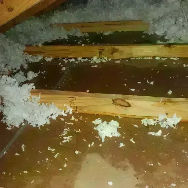 Attic Water Damage in Banning, CA