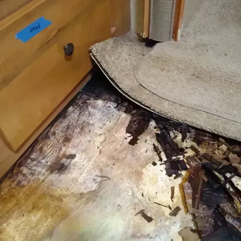 Wood Floor Water Damage in Banning, CA